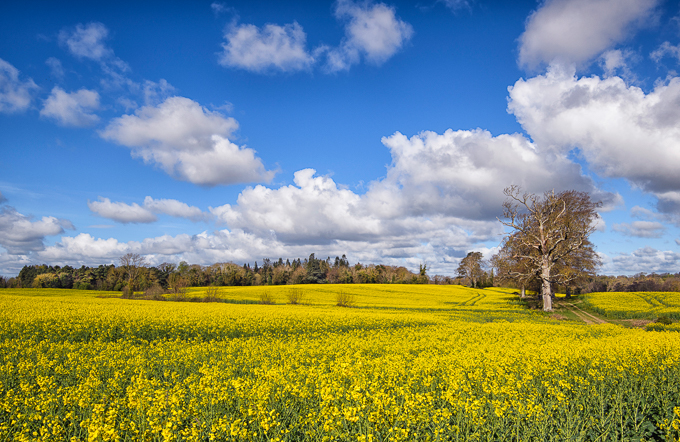 Edmundsbury by Philip Devereux